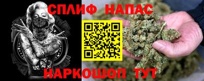 spice Кунгур