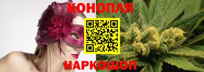 spice Кунгур
