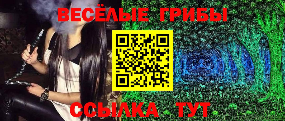 Псилоцибиновые грибы мицелий  Вход с VPN  Гурьевск 